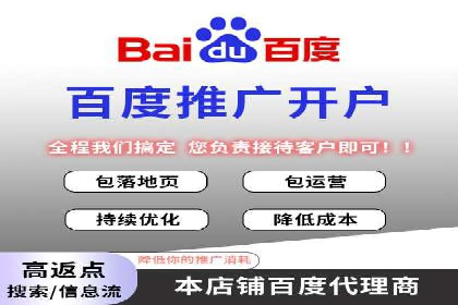 行业领先企业的sem竞价策略：成功案例剖析